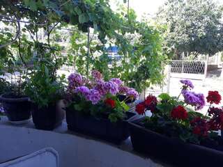 Апарт-отели RAR APARTMANI Бар-1